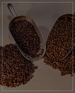 Tanzania Peaberry