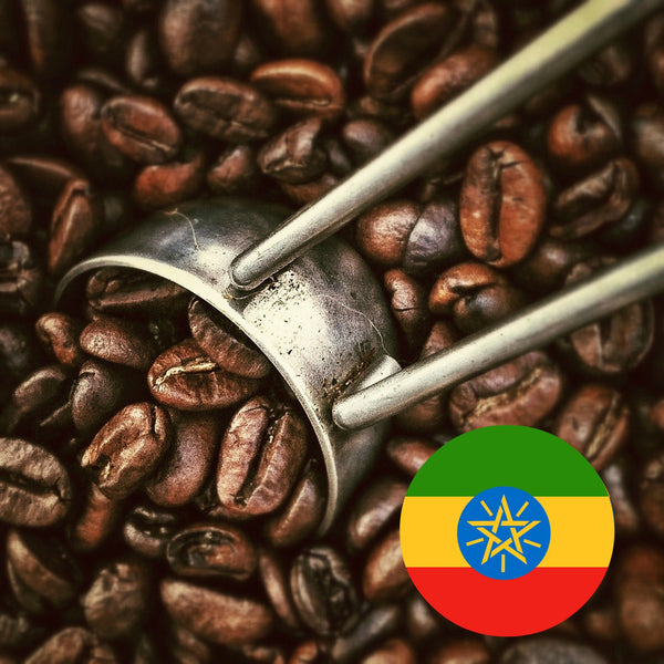 Ethiopia Sidamo